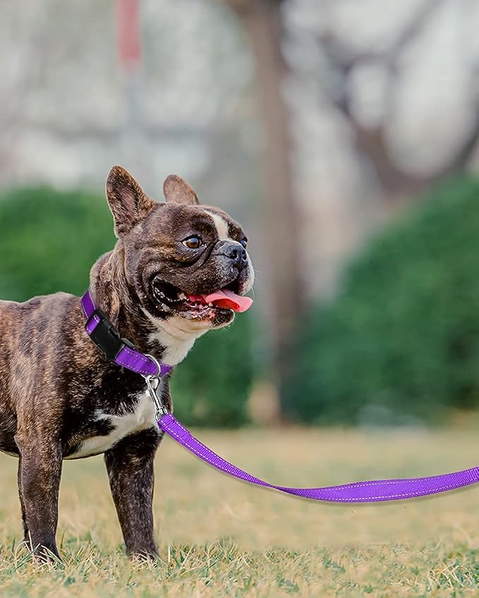 Joytale Dog Collar Bundle with 5FTx3/4 Width Double-Sided Reflective Dog Leash,5FT Nylon Dog Leashes with Nylon Dog Collar for Small Dogs,Purple