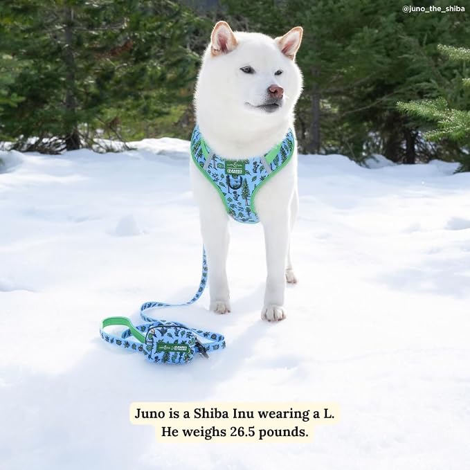 Lucy & Co. x Parks Project Feel the Earth Breath No-Pull Dog Harness, Adjustable Front Clip Harness with Comfort Padding, Small