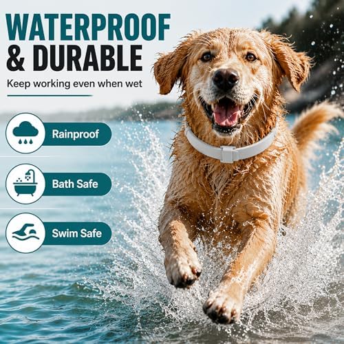 Calming Collar for Dogs, 6-Pack, 25 Inch, Grey