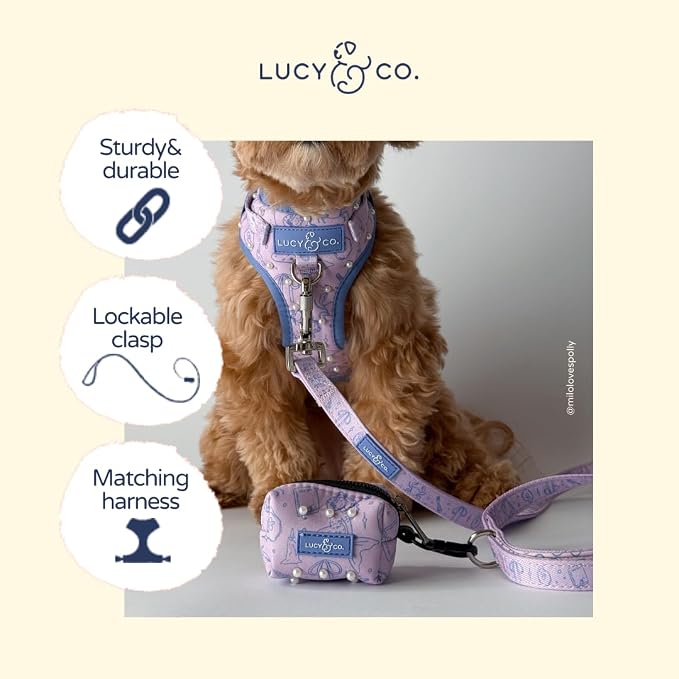 Lucy & Co. Magnificent Mermaid Pearl Dog Leash, Durable Matching Dog Lead with Heavy Duty Hardware, Small