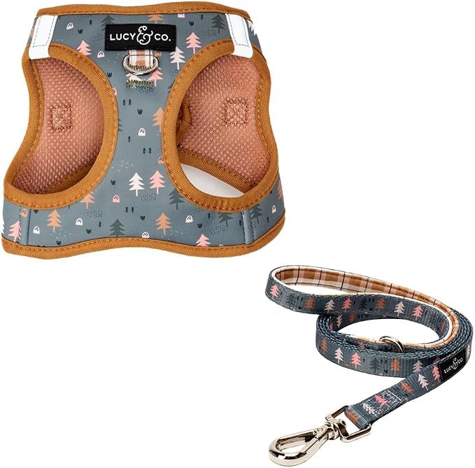 Lucy & Co. Take a Hike Step-in Cat Harness & Leash Bundle – Reflective, Breathable & Adjustable Harness for Cats, Kittens & Small Dogs, Lightweight & Secure and Dual Leash Clips – Small