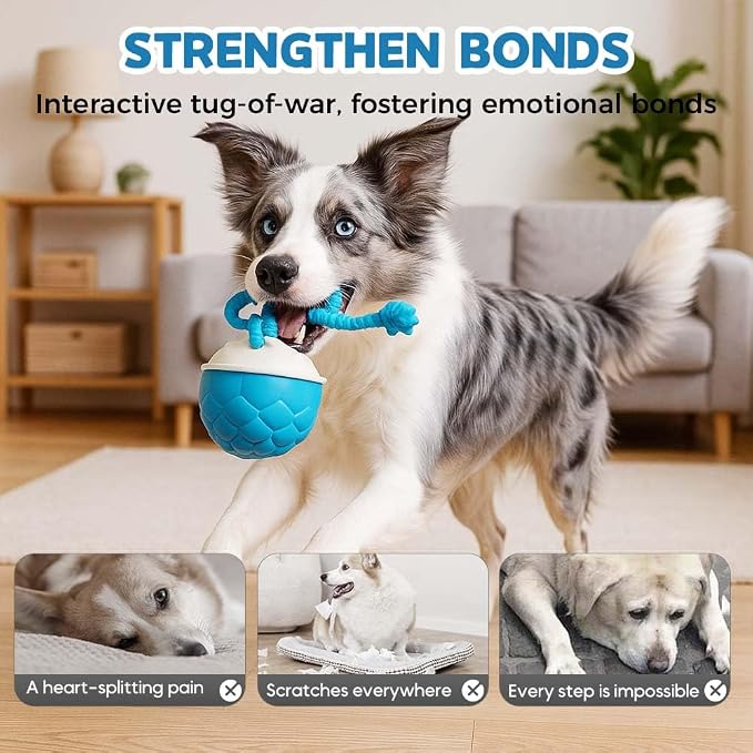 Interactive Dog Toys - 2026 Upgraded Motion Activated Automatic Rolling Ball Toys for Small/Medium/Large Dogs Balls for Boredom to Keep Them Busy with USB Rechargeable (Orange)