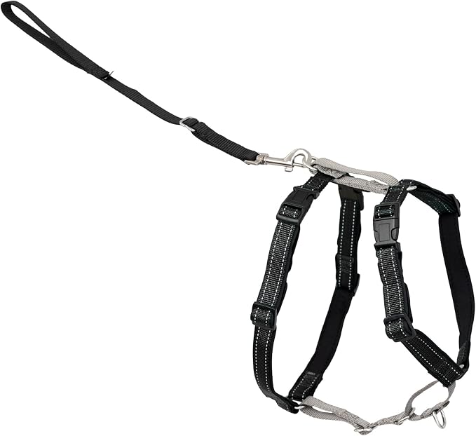 PetSafe 3 in 1 No-Pull Dog Harness - Walk, Train or Travel - Helps Prevent Pets from Pulling on Walks - Seatbelt Loop Doubles as Quick Access Handle - Reflective Accents - Medium, Black | Rests on Chest Not Throat to Reduce Pulling, 5 Adjustment Points...