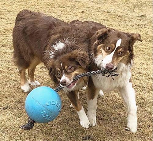Jolly Pets Romp-N-Roll Rope & Ball Dog Toy, 8 in Large, Blueberry | Rope-and-ball fetch toy in tough JollyFlex - won't deflate if punctured, floats, made in USA