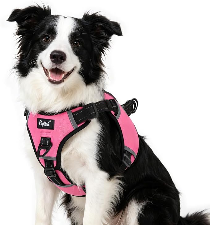 PUPTECK Dog Harness Medium Sized, No Pull Step-in Pet Vest Harness, Adjustable Soft Padded Reflective Safe Night Walking, No Choke Easy On & Off, Fuchsia M