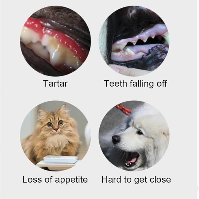 1PC Professional Electric Dog Toothbrush Ultrasonic Technology Pet Toothbrush Dog Brush Addition Bad Breath Tartar for Small Medium Large Dogs and Cats(Pink) Pet Electric Toothbrush