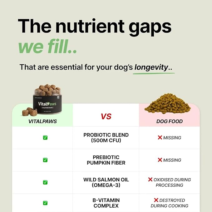 Dog Multivitamin Chews | Daily Probiotic, Hip & Joint, Allergy & Immune Support | Healthy Dog Treats for All Breeds & Sizes | Soft Chews with Glucosamine, Salmon Oil & Probiotics | 60 Ct