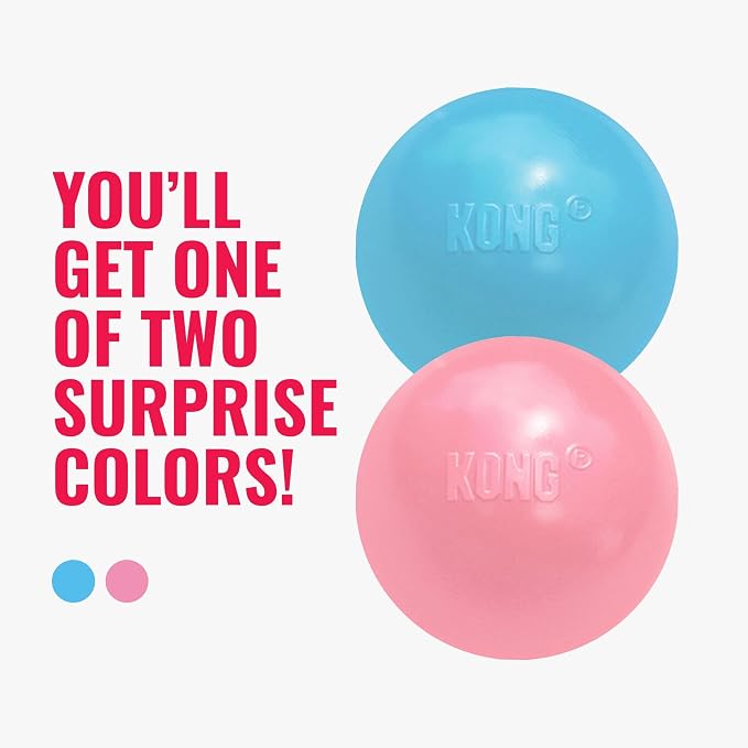 KONG Puppy Ball with Hole, Teething Toy, Medium/Large Puppies, Random Color | Soft & Durable Activity Ball That Supports Healthy Exercise, Interactive Play & Natural Teething for Puppies
