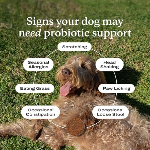 PetLab Co. – Mobility & Gut Health Bundle: Dog Probiotic for Gut Health, Healthy Yeast Production, & Seasonal Allergies 30 Count & Joint Supplement for Dogs Supporting Mobility & Occasional Stiffness