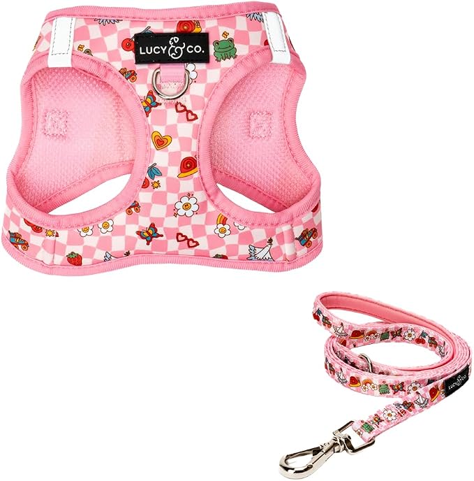 Lucy & Co. Cutie Patootie Step-in Cat Harness & Leash Bundle – Reflective, Breathable & Adjustable Harness for Cats, Kittens & Small Dogs, Lightweight & Secure and Dual Leash Clips