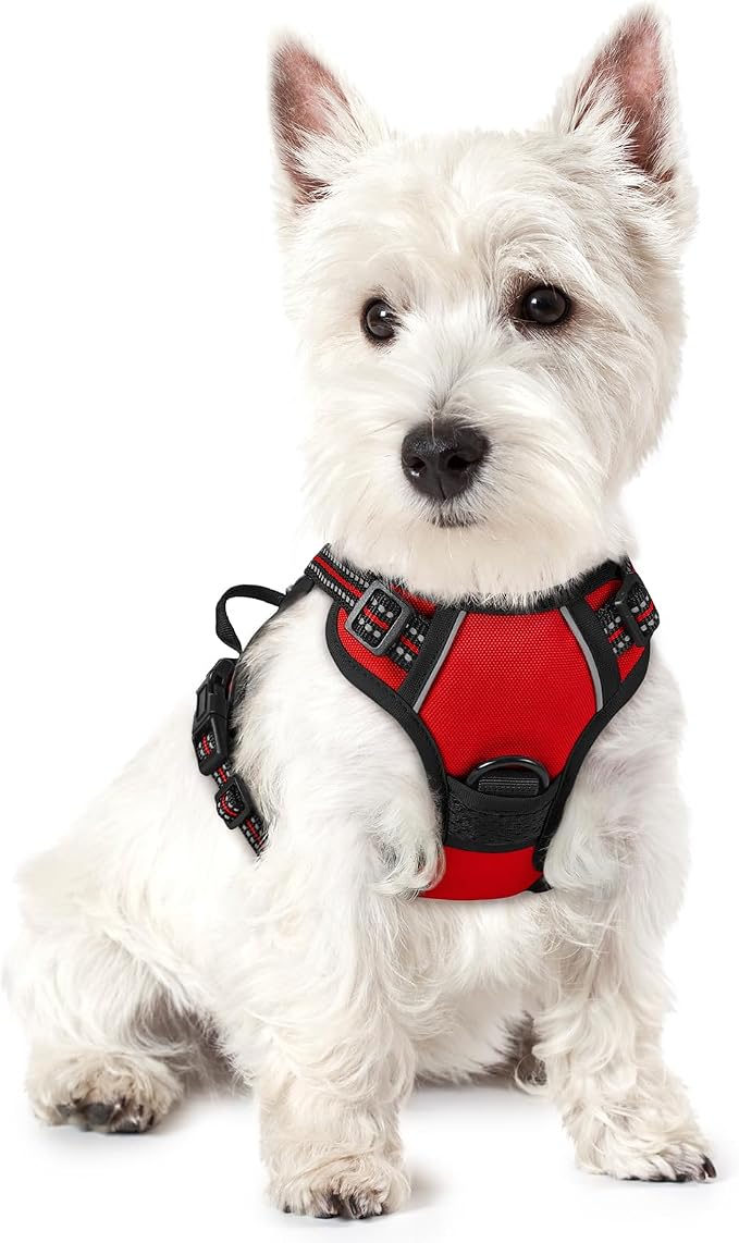 rabbitgoo Dog Harness, No Pull for Small Dogs with 2 Leash Clips, Pet Vest | No Choke, Adjustable, Breathable Padded, 2 Lead Rings, Reflective, Easy Control for Walking Training, XS, Red