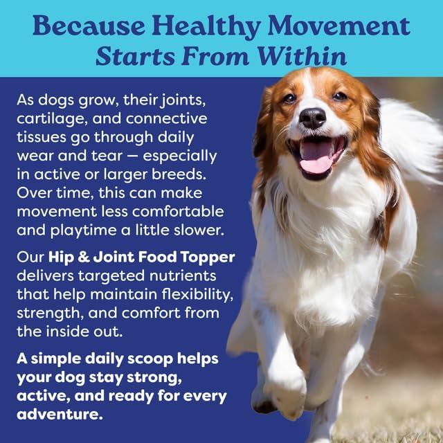 Hip & Joint Dog Food Topper – Beef Bone Broth Collagen Powder for Dogs – Mobility & Joint Support with Glucosamine – Skin & Coat Health – 60 Servings | Fountain of Woof