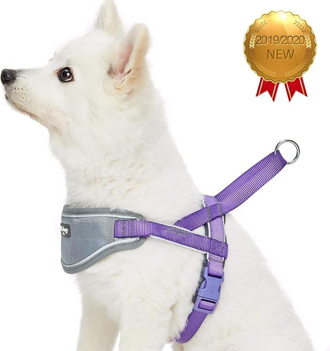 Blueberry Pet Purple Dog Harness, Medium Sized, Small Dog Harness, Puppy Harness, Reflective Nylon Vest, Adjustable for Small Dogs, Large Dog Owners, Pet Trainers, Active Pet Parents