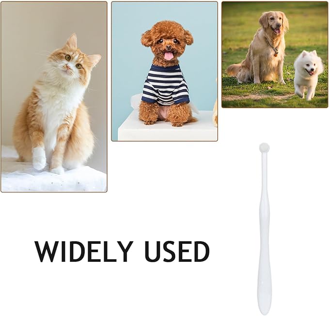 Toyvian Cat and Dog Toothbrush Small Head Manual PET Oral Cleaning Tool Soft Bristles for Gentle Cleaning Handheld Design for Easy Use for Cats and Dogs