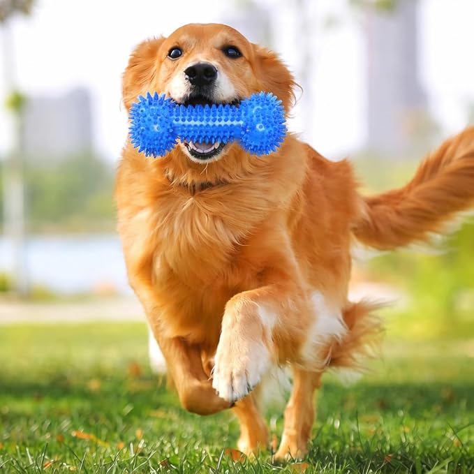 GILL&SONS Bone Toys Tug Dogs Toothbrush, Chewable Dogs Toy,Squeaky Interactive,Synthetic Rubber(Silicone) Non-Toxic,Durable for Dental Oral Care,Bones-hape Toothbrush & Toys for All Dogs Breeds.