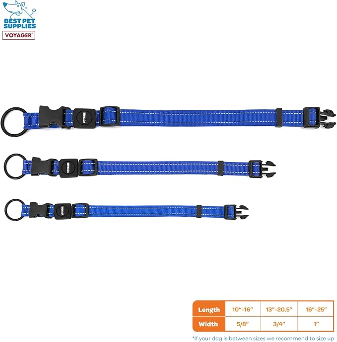 Best Pet Supplies Voyager Reflective Dog Leash or Collar with Neoprene Handle, for Small, Medium, and Large Breed Puppies, Cute and Heavy Duty for Walking, Running and Training - Royal Blue, M