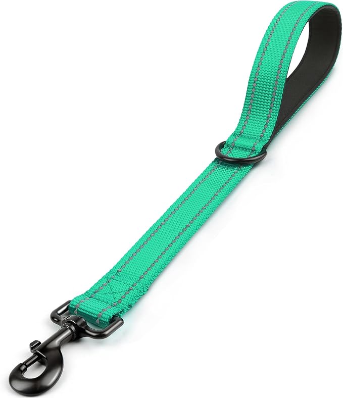 Joytale Short Dog Leash for Close Control & Training, 18", Teal | Padded Comfort Handle, Reinforced Nylon Webbing, Secure Metal Clip, for Busy Streets & Heel Training