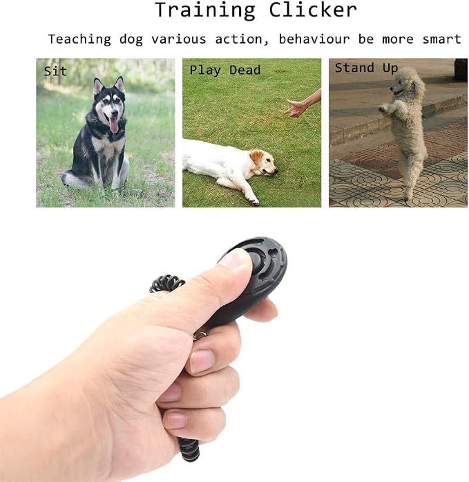 Dog Training Kit, Set of 8