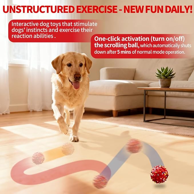 Interactive Dog Toys, Rechargeable Dog Ball, Automatic Moving Toy for Small Medium Dogs, Indoor Outdoor Exercise, Chew Resistant Design to Keep Busy