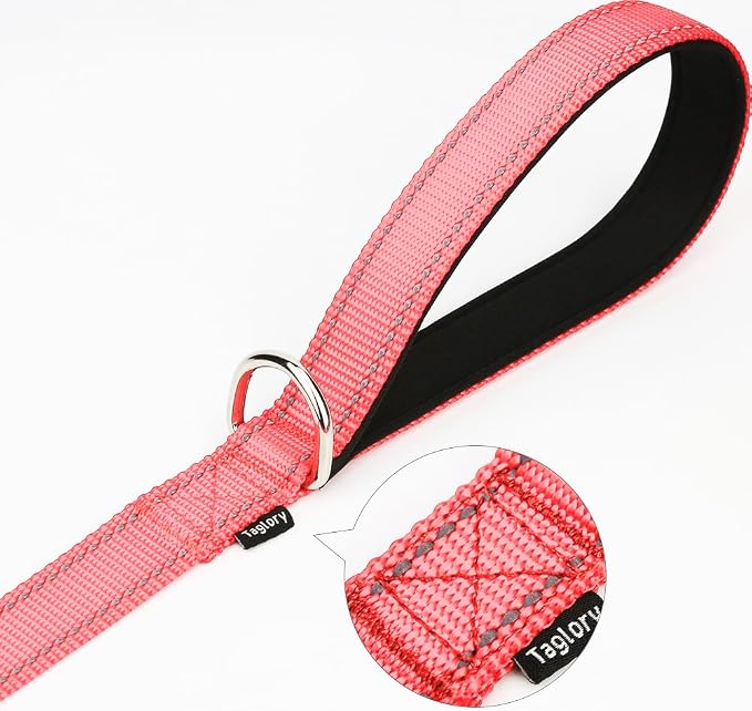 Taglory Reflective Dog Leash for Small Dogs, 3/4in x 4ft, Pink | Ideal for Night Walking, Strong for Sudden Pulls, Lightweight & Gentle on the Neck, Soft Padded Handle