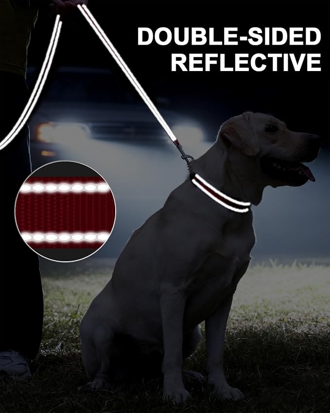 Taglory Reflective Dog Leash for Small Dogs, 3/4in x 5ft, Red | Ideal for Night Walking, Strong for Sudden Pulls, Lightweight & Gentle on the Neck, Soft Padded Handle