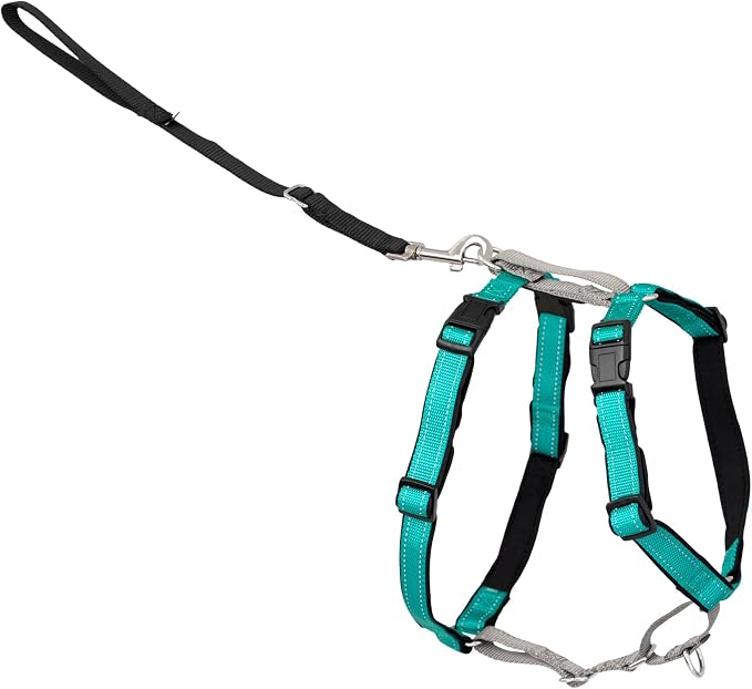 PetSafe 3 in 1 No-Pull Dog Harness - Walk, Train or Travel - Helps Prevent Pets from Pulling on Walks - Seatbelt Loop Doubles as Quick Access Handle - Reflective Accents - Medium, Teal | Rests on Chest Not Throat to Reduce Pulling, 5 Adjustment Points,...