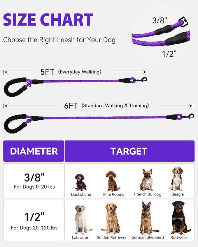 Joytale Rope Dog Leash for Small Dogs, Padded Handle, 6FT, Purple | Reinforced Nylon Webbing, Comfort Grip Eases Hand Strain, Swivel Clip Prevents Tangles, Visible at Night, for Outdoor Walks
