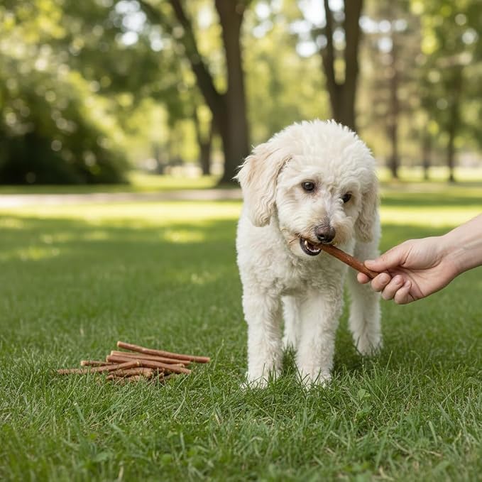Wild Eats Water Buffalo Collagen Sticks for Dogs (25 Pack, 0.6 cm Wide) Long Lasting Dog Chews, No Hide Dog Treat Bully Stick Alternative, Rawhide Free, Grain Free, High Protein