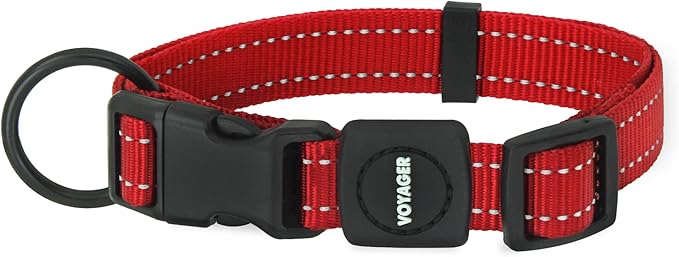 Best Pet Supplies Voyager Reflective Dog Leash or Collar with Neoprene Handle, for Small, Medium, and Large Breed Puppies, Cute and Heavy Duty for Walking, Running and Training - Red, L
