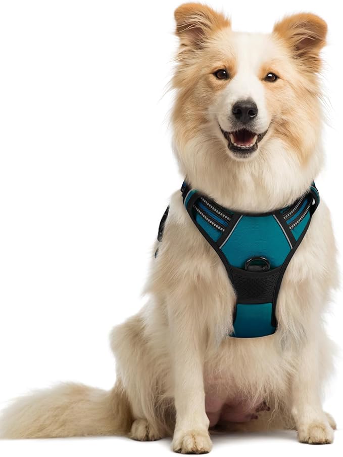 rabbitgoo Dog Harness, No Pull Medium Sized with 2 Leash Clips, Pet Vest | No Choke with Handle, Adjustable Soft Padded, Reflective, Easy Control for Walking, Blue Coral, Medium