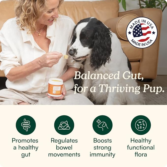 Reggie Daily Immunity Set for Dogs | Supports Healthy Gut, Immune System, and Nutrient Absorption | Made in The USA, Vet-Approved, & Ideal for All Ages, Breeds, and Sizes