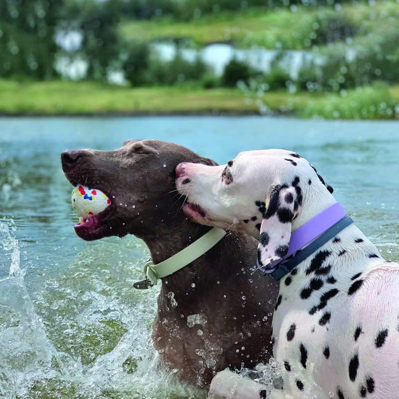 PawfectPals Indestructible Bloom Ball, Floating, Spotted White