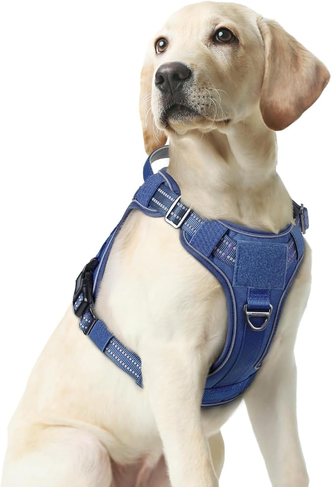 rabbitgoo Tactical Dog Harness Medium Sized, No Pull Service Pet Vest | Military Molle System & Easy Control Handle, Adjustable and Reflective for Walking and Training, Blue, Medium
