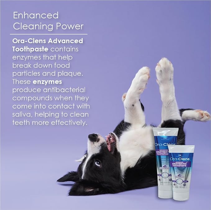 Advanced Enzymatic Toothpaste for Dogs, Peanut Butter Flavor Dog Toothpaste, Helps Clean Teeth & Freshen Breath, Supports Oral Hygiene, Dog Dental Care Toothpaste Gel, 5 oz