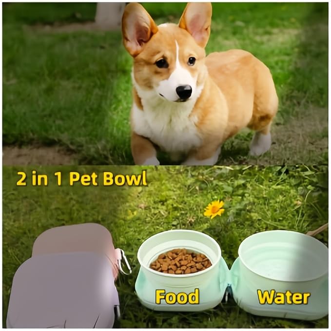 2-in-1 Collapsible Pet Bowl with Carabiner, Purple