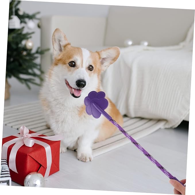 TOYANDONA Dog Training Equipment, 2 Pcs