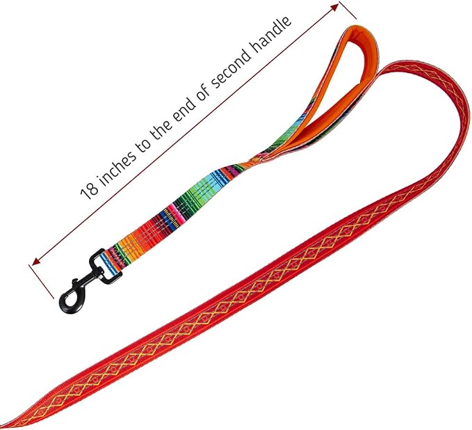Leash Boss Chain Martingale Patterned Reflective Collar and 6 Ft Double Handle Leash with Padded Handles, Large Collar 19-24.5" Neck, Orange Blanket Pattern