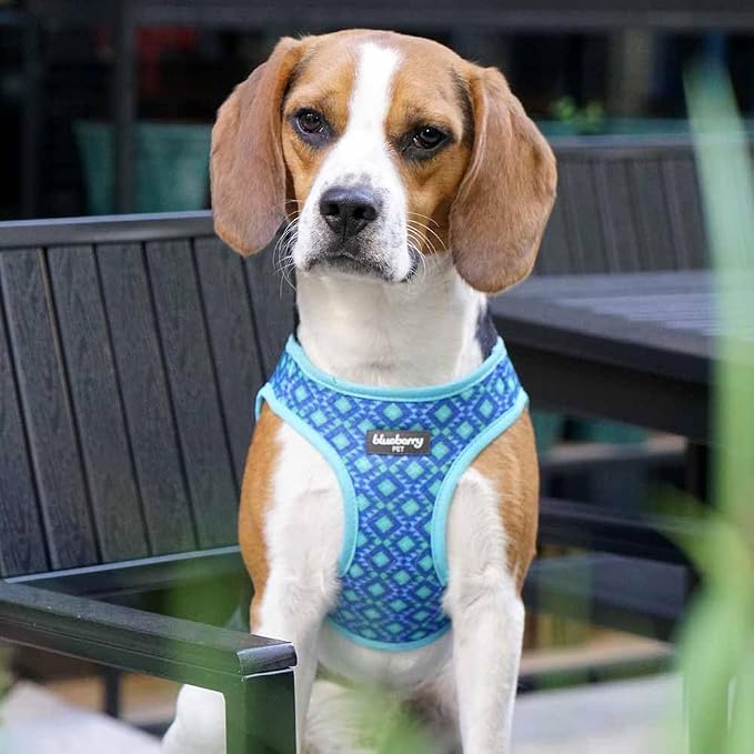 Blueberry Pet Southwestern Tribal Lozenges Navy Blue Dog Harness Vest, S, Adjustable Harnesses for Small Dogs