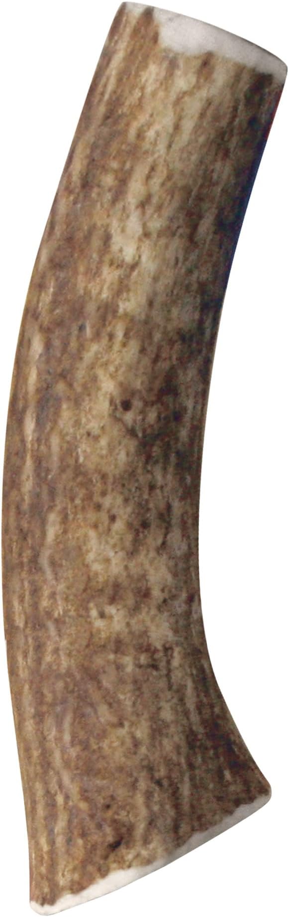 KONG Whole Antler Dog Chew – Durable Natural Elk & Deer Antlers for Strong Chewers - Naturally Shed, Long Lasting Chews (Medium)