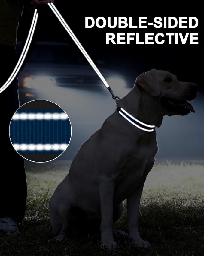 Taglory Reflective Dog Leash for Small Dogs, 3/4in x 5ft, Sky Blue | Ideal for Night Walking, Strong for Sudden Pulls, Lightweight & Gentle on the Neck, Soft Padded Handle