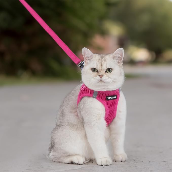 Voyager Step-in Pet Harness - All Weather Mesh, Adjustable Step in Harness for Cats and Dogs by Best Pet Supplies - 307S Fuchsia, XXXS