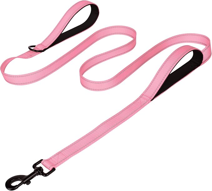 Joytale Dog Leash for Large Dogs that Pull, Double Handle, 6FT, Pink | Traffic Handle for Control, Padded Handle Reduces Hand Strain, Reflective Stitching for Night Safety, Strong Nylon Webbing