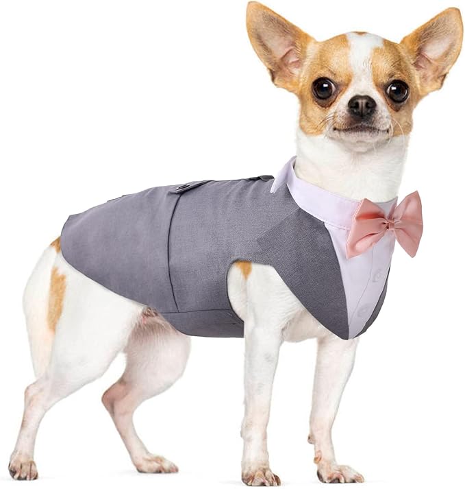 PUMYPOREITY Medium Dog Bowtie Tuxedo Suit, Medium (Pack of 1), Medium, Grey