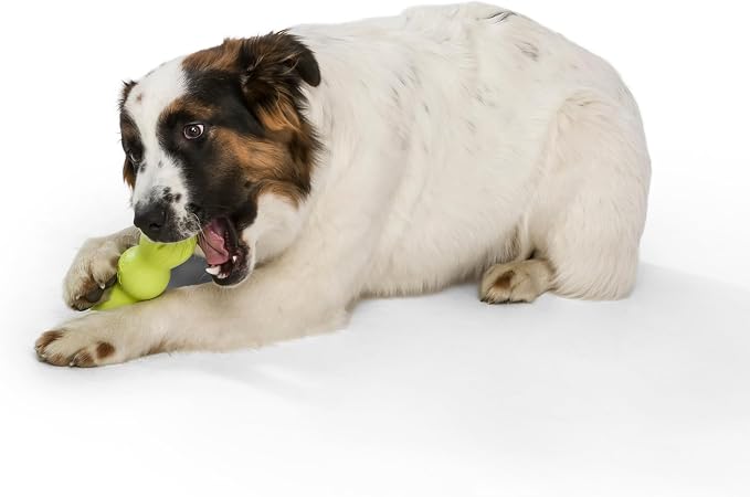 WEST PAW Zogoflex Rumpus Dog Chew Toy – Floatable Toy for Dogs, Aggressive Chewers – Puppy Chewing Toys for Catch, Fetch – Recyclable, Dishwasher-Safe, Medium 6.25", Granny Smith