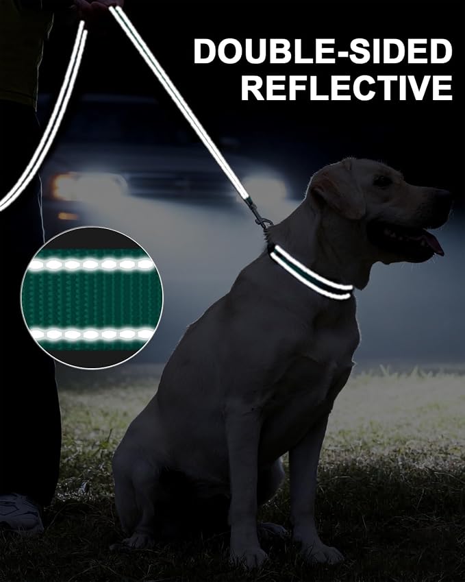 Taglory Reflective Dog Leash for Small Dogs, 3/4in x 4ft, Turquoise | Ideal for Night Walking, Strong for Sudden Pulls, Lightweight & Gentle on the Neck, Soft Padded Handle