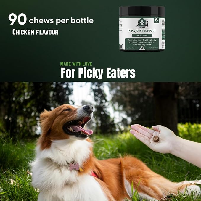 Dog Joint Supplement Chews - Glucosamine 600mg MSM 300mg Chondroitin Turmeric Green Lipped Mussel Collagen - Hip and Joint Chews for Senior & Active Dogs All Breeds - 90 Soft Chews Chicken