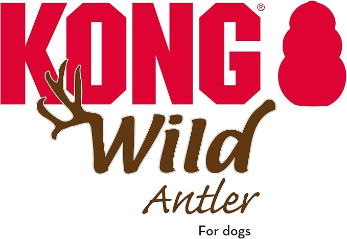 KONG Whole Antler Dog Chew – Durable Natural Elk & Deer Antlers for Strong Chewers - Naturally Shed, Long Lasting Chews (Small)