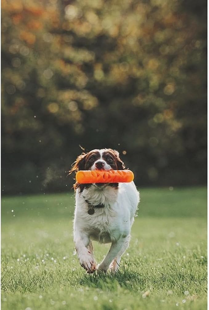 Chuckit! Air Fetch Stick Dog Toy, Small, Orange