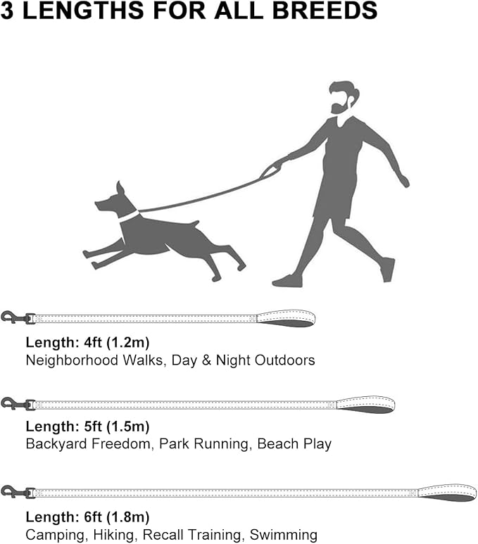 Taglory Reflective Dog Leash for Small Dogs, 3/4in x 5ft, Red | Ideal for Night Walking, Strong for Sudden Pulls, Lightweight & Gentle on the Neck, Soft Padded Handle