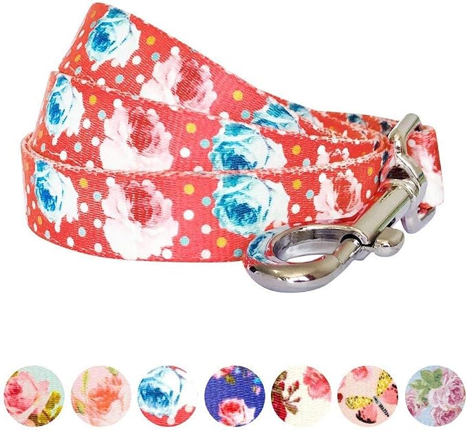 Blueberry Pet 9 Patterns Durable Spring Scent Inspired Rose and Polka Dot Print Brink Pink Dog Leash 4 ft x 1", Large, Leashes for Dogs